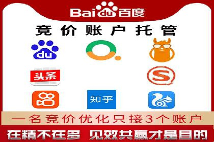 SEM托管服务案例：实现品牌价值最大化